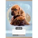 Nebulo: Cuaderno de cuadros con dos perros A/5 27-32