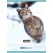 Nebulo: Cuaderno de cuadros con estampado de gato 87-32 A/4