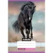 Nebulo: Cuaderno de rayas A5 encuadernado para 2º grado con diseño lindo - Caballo