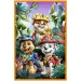 imagen de Paw Patrol Isla de Dinosaurios - 3 x 80 piezas de rompecabezas - Trefl 3