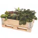 imagen de PlayBox: Caja de palets de madera 18x28x8,65cm 3