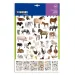 PlayBox: Pegatinas de animales 300ud