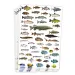 PlayBox: Pegatinas de peces de 300 piezas