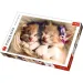 imagen de Rompecabezas premium de 500 piezas de gatitos dormilones - Trefl 1