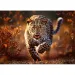 imagen de Puzzle premium plus de 1000 piezas de leopardo - Trefl 2