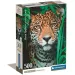 Rompecabezas compacto de 500 piezas Jaguár HQC - Clementoni