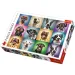 imagen de Rompecabezas de 1000 piezas de retratos de perro divertido - Trefl 1