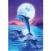 imagen de Rompecabezas de diamantes: Set de pintura de diamantes de delfines 10x15cm 1