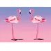 imagen de Rompecabezas de diamantes: Set de pintura de diamantes de flamencos 10x15cm 1