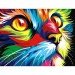 imagen de Rompecabezas de diamantes: Set de pintura de diamantes de gato colorido 1