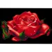 imagen de Rompecabezas de diamantes: Set de pintura de diamantes de rosa 10x15cm 1