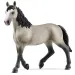 Schleich: Caballo de Selle Francés yegua figura (13955)