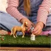 imagen de Schleich: Club de Caballos Emily set de cuidado de caballos (42797) 4