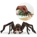 imagen de Schleich: Figura de Aragog de Harry Potter (13987) 2
