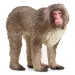 Schleich: Figura de macaco japonés (14871)
