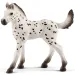 Schleich: figura de potro Knabstrupper (13890)