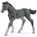 Schleich: Figura de potro Trakehner (13944)