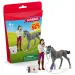 Schleich: Juego de cuidado de caballos con potro Trakehner (42752)