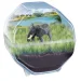imagen de Science & Play: Mini elefante terrario juego set - Clementoni 2