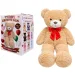 Teddy Greetings: Honey Hugs oso de peluche blanco en caja de regalo de 120cm