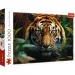 imagen de Tigre en la selva rompecabezas HQ de 1000 piezas - Trefl 1