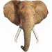 imagen de WOW rompecabezas de elefante gigante 700 piezas 2